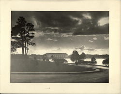 Lake Merrit Original Photograph