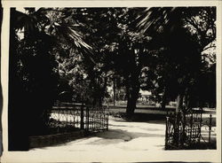 McKinley Park on Buena Vista Avenue Alameda, CA Original Photograph Original Photograph Original Photograph