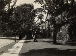 San Antonio Avenue at Paru Street Original Photograph