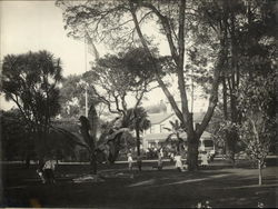 McKinley Park Original Photograph