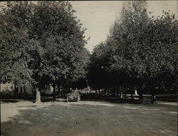 Pacific Avenue near Wood Street Original Photograph