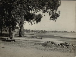 Low Tide at Bay Shore - Foot of Grand Street Alameda, CA Original Photograph Original Photograph Original Photograph