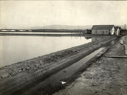 Salt Works Redwood City, CA Original Photograph Original Photograph Original Photograph