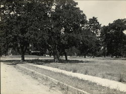 Dingle Park Redwood City, CA Original Photograph Original Photograph Original Photograph