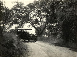Road Near Redwood City - Touring Car California Original Photograph Original Photograph Original Photograph