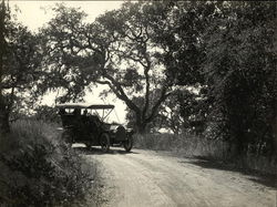 Road Near Redwood City - Touring Car Road Near Redwood City - Touring Car
