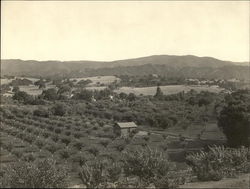 View of Hills Los Altos, CA Original Photograph Original Photograph Original Photograph