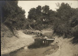 River Through Countryside Burlingame, CA Original Photograph Original Photograph Original Photograph