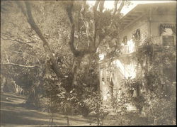 Residence Original Photograph