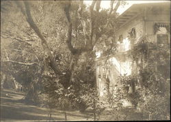 Residence Burlingame, CA Original Photograph Original Photograph Original Photograph