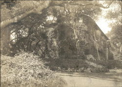 Residence of H.T. Scott Burlingame, CA Original Photograph Original Photograph Original Photograph