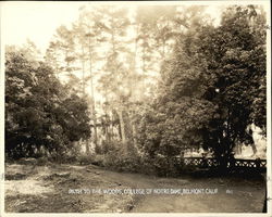 College of Notre Dame - Path to the Woods Original Photograph