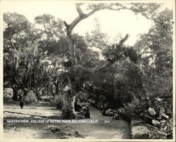 Garden View, College of Notre Dame Original Photograph