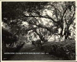 College of Notre Dame - Garden Original Photograph