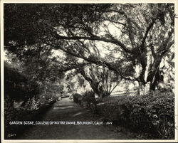 College of Notre Dame - Garden Original Photograph