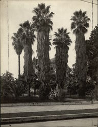 Residence Los Angeles, CA Original Photograph Original Photograph 