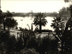 West Lake Park Original Photograph