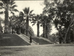 West Lake Park Los Angeles, CA Original Photograph Original Photograph Original Photograph