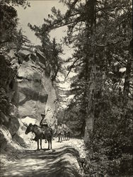 Man Riding Horse on Trail up Mt. Wilson Original Photograph