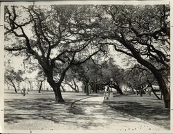 Lincoln Park Original Photograph