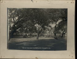 One of the Many Playgrounds Original Photograph