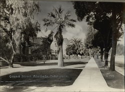 Grand Street Alameda, CA Original Photograph Original Photograph Original Photograph