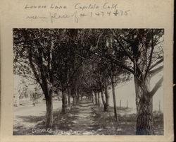 Lover's Lane Capitola, CA Original Photograph Original Photograph Original Photograph