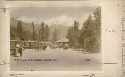 Southern Pacific Depot - Santa Cruz County Brookdale, CA Original Photograph Original Photograph Original Photograph