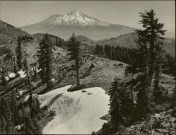 Mt. Shasta From Near the Crags Original Photograph