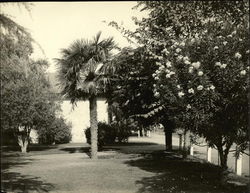 Depot Park Fresno, CA Original Photograph Original Photograph Original Photograph