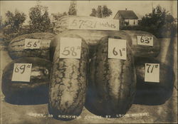 Watermelons Grown in Richfield Colony Original Photograph