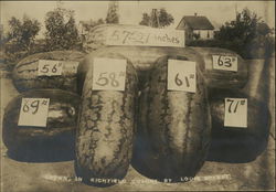 Watermelons Grown in Richfield Colony California Original Photograph Original Photograph Original Photograph