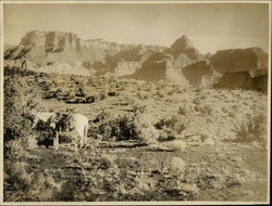 Grand View Plateau Grand Canyon National Park, AZ Original Photograph Original Photograph Original Photograph