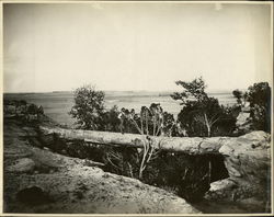 Natural Bridge in Petrified Forest Original Photograph