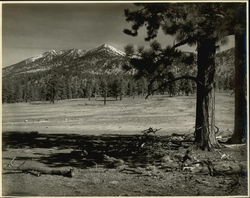 San Francisco Mountains Flagstaff, AZ Original Photograph Original Photograph Original Photograph