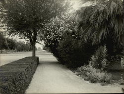 Washington Ave. From Capitol Phoenix, AZ Original Photograph Original Photograph Original Photograph