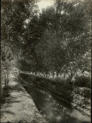 Irrigating Ditch Original Photograph