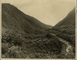 River Out of Mountains Honolulu, HI Original Photograph Original Photograph Original Photograph