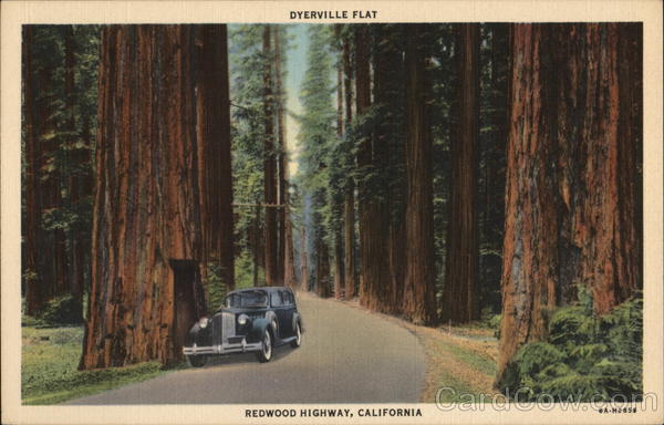 Dyerville Flat Redwood Highway California