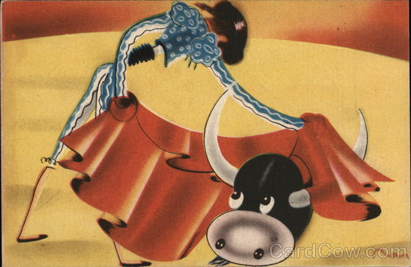 Mexican Bull Fighter and Bull Mexico