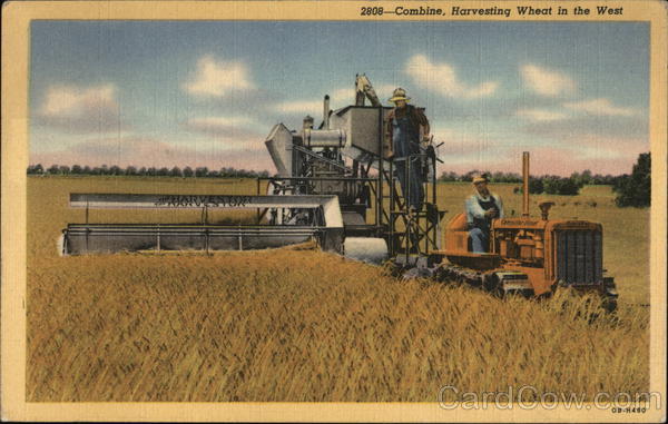 Combine, Harvesting Wheat in the West Farming