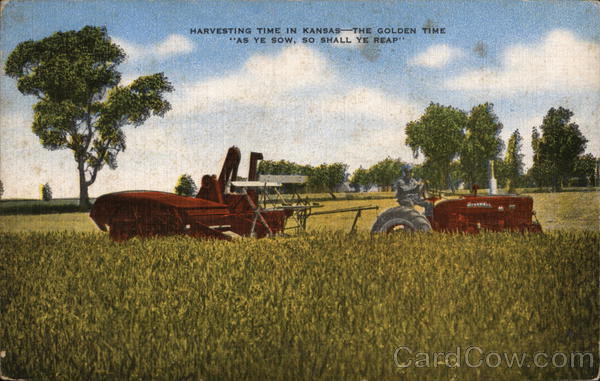 Harvesting Time in Kansas Farming