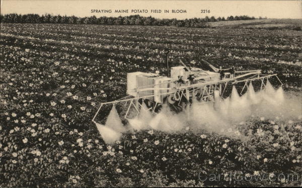 Spraying Maine Potato Field in Bloom Farming