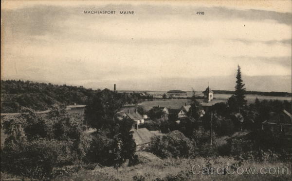 Bird's Eye View of Machiasport Maine