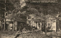 Cabins in Attractive Pine Grove Postcard