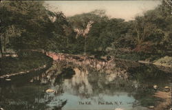 The Kill Pine Bush, NY Postcard Postcard Postcard