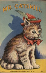 Mr. Catskill Postcard