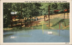 Ducks on Enchanted Lake Postcard