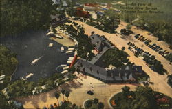 Air View of Florida's Silver Springs Postcard