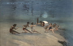 Tug of War Under Water Silver Springs, FL Postcard Postcard Postcard